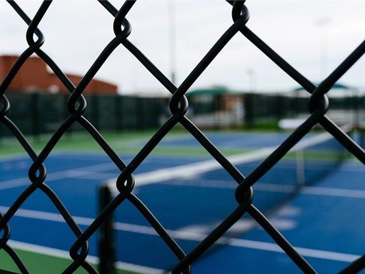 6 مقاس الفينيل مطلية سلسلة وصلة السياج 6 أقدام ارتفاع 50 قدم لفة